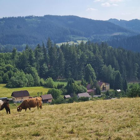 Hotel Penzion Na Lukach Górna Beczwa Zewnętrze zdjęcie