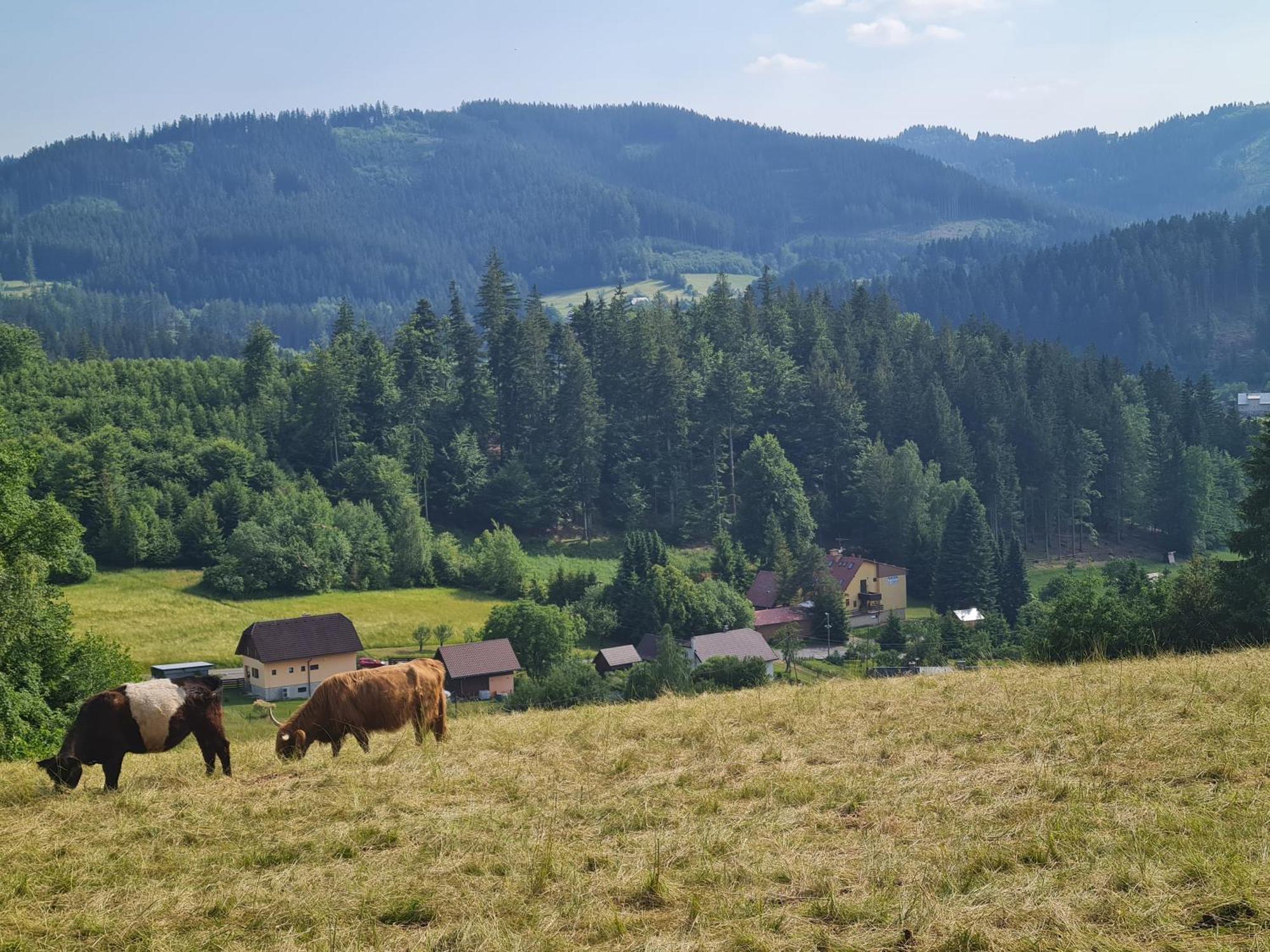 Hotel Penzion Na Lukach Górna Beczwa Zewnętrze zdjęcie